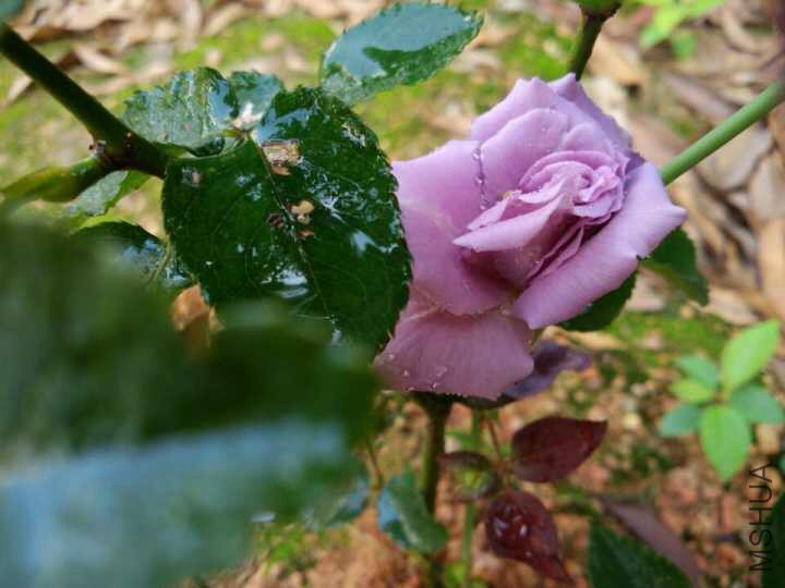 ��������������������ģ�һֱ����ոջ������Ϳ���һ�䣬��̫�ȣ�������ȫ��Ҳ����̫��ľ�ϲ����Ҫ���� ...