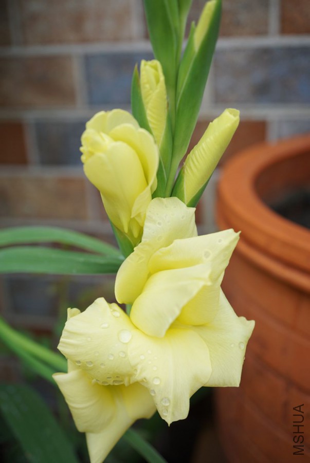 DSC00277.JPG