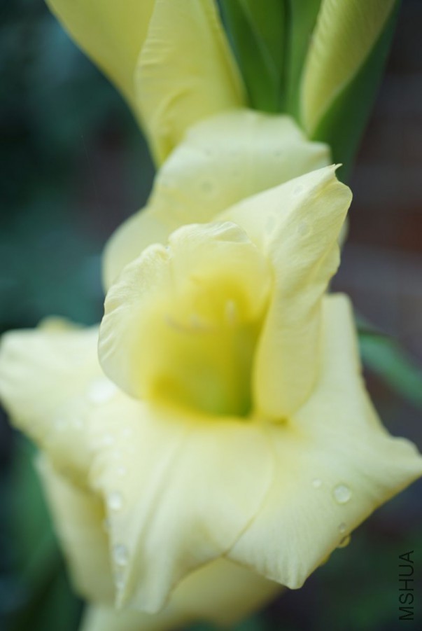 DSC00278.JPG