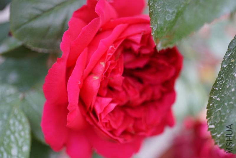DSC00305.JPG