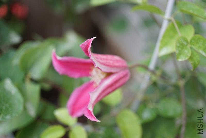 DSC00320.JPG