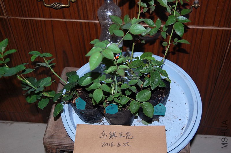 DSC_58510022.JPG