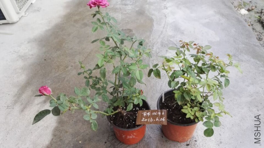 -68d4737c332a1f6a.jpg