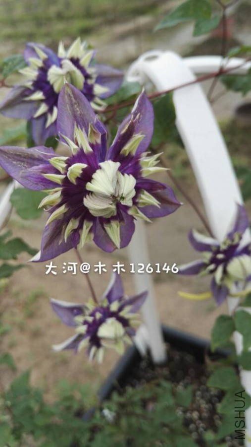 6e3d71933a2bb360.jpg