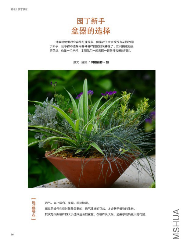 花也�
