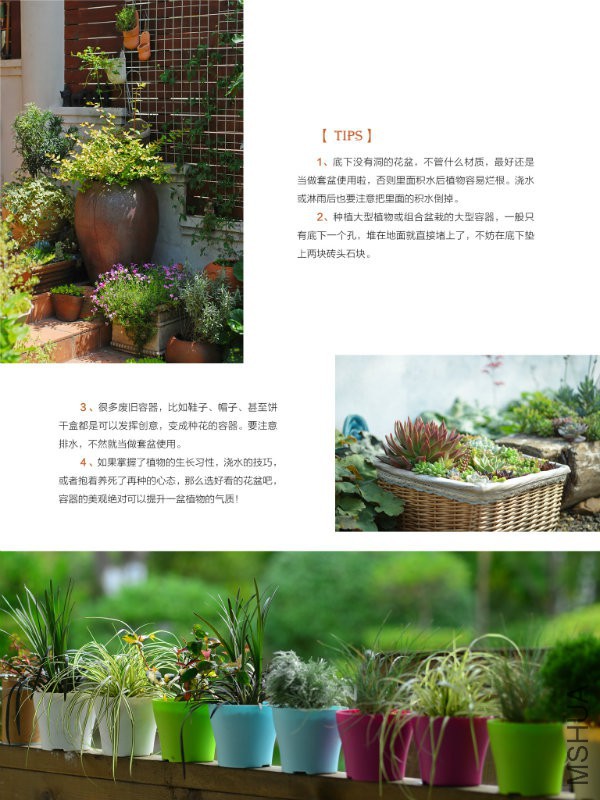 花也�