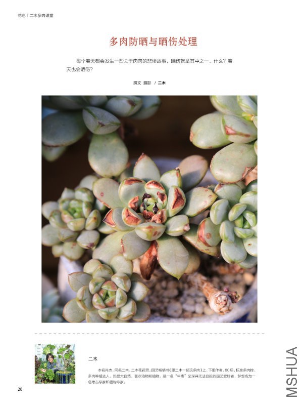 花也�