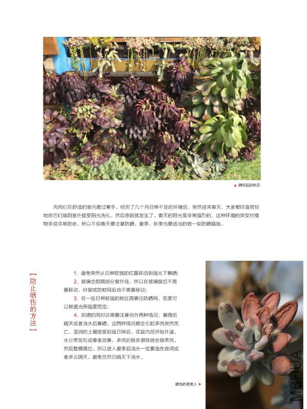 花也�
