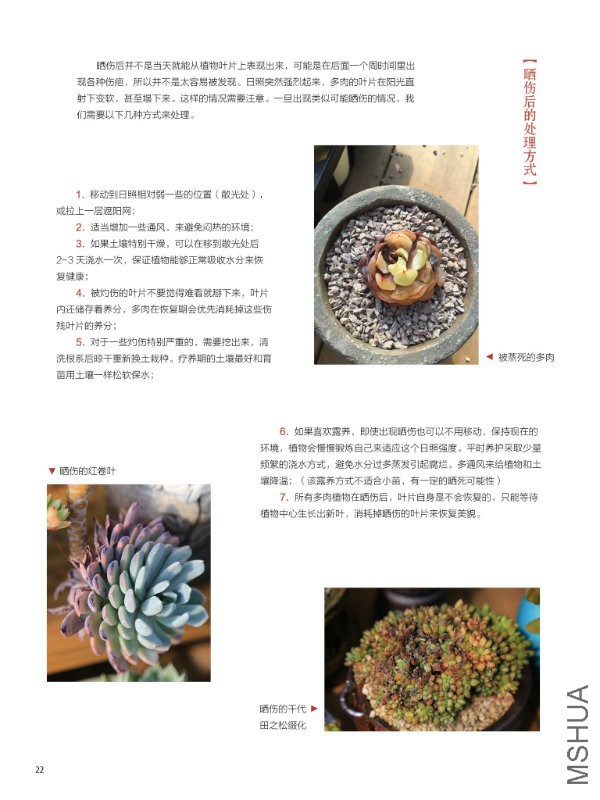 花也�