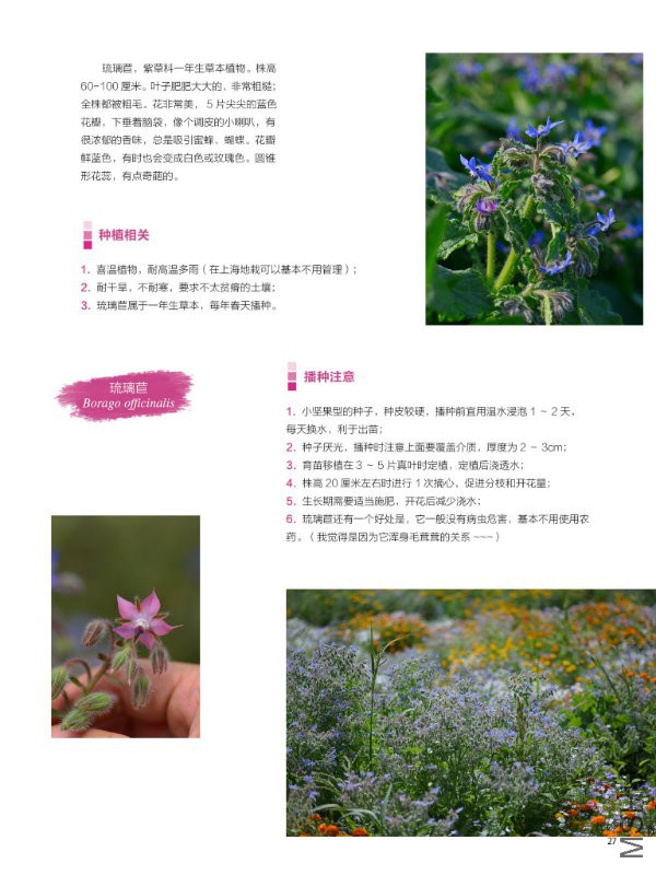 花也�