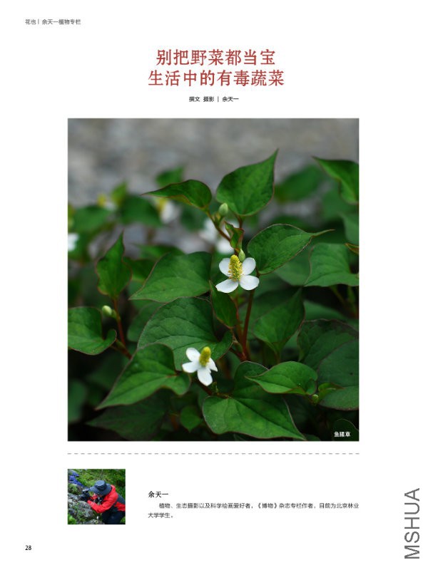 花也�