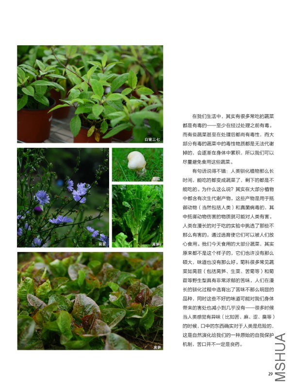 花也�