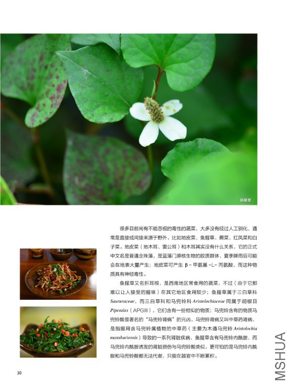 花也�