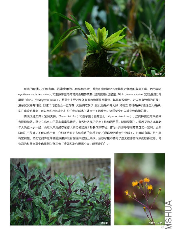 花也�