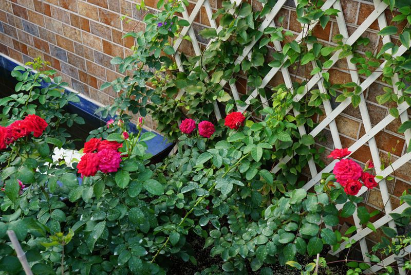 DSC00389.JPG