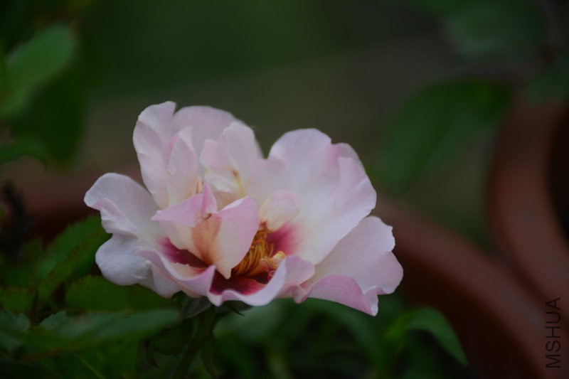 DSC_3464.JPG