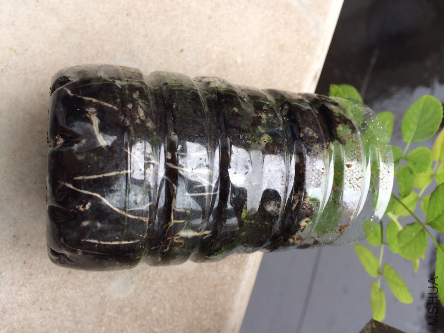 763195343326336307.jpg