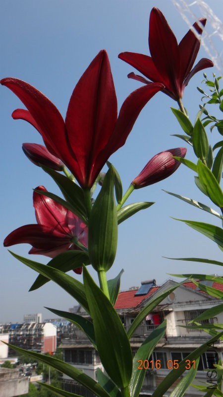 DSC06317.JPG