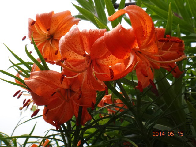 DSC00191.JPG