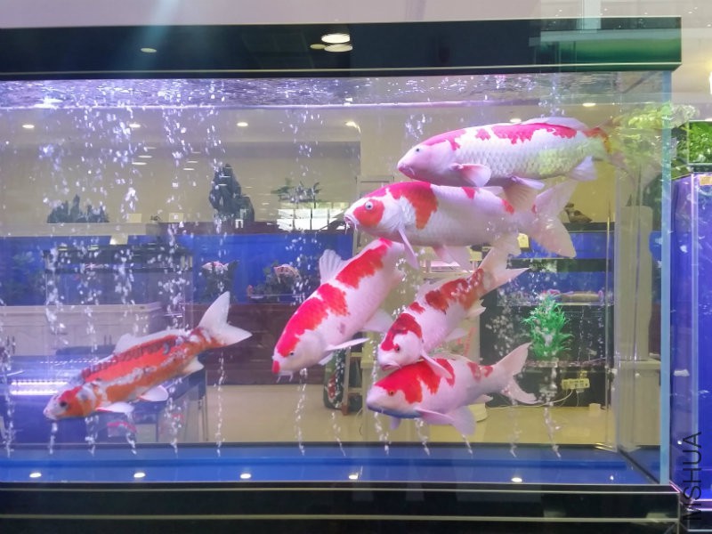 20160626_115554.jpg