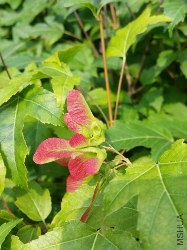 20160628_162756.jpg