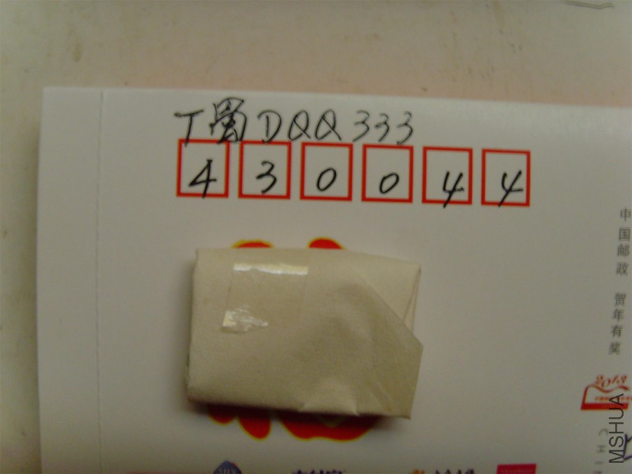 SNV31452.JPG