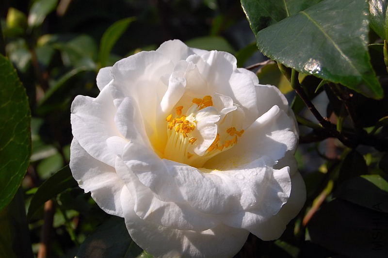 083005r88wv3ooblleiuw4.jpg