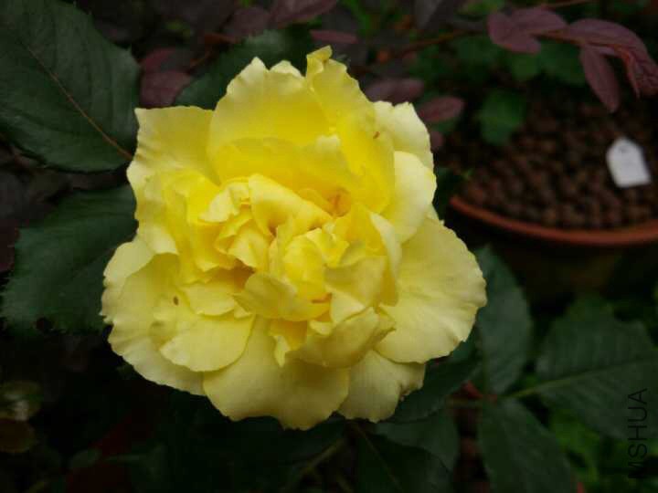 �����ֿ���һ�䡣  k