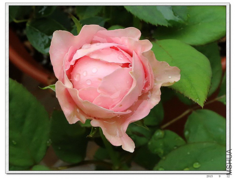 2015091204.jpg