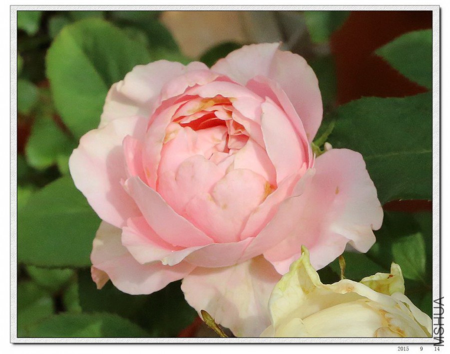 2015091405.jpg