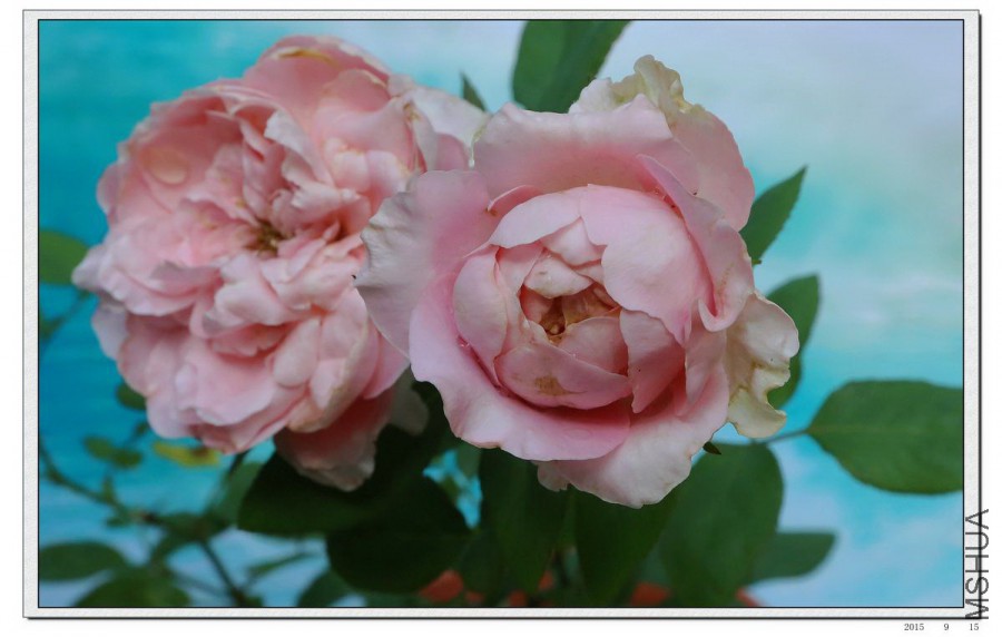 2015091705.jpg