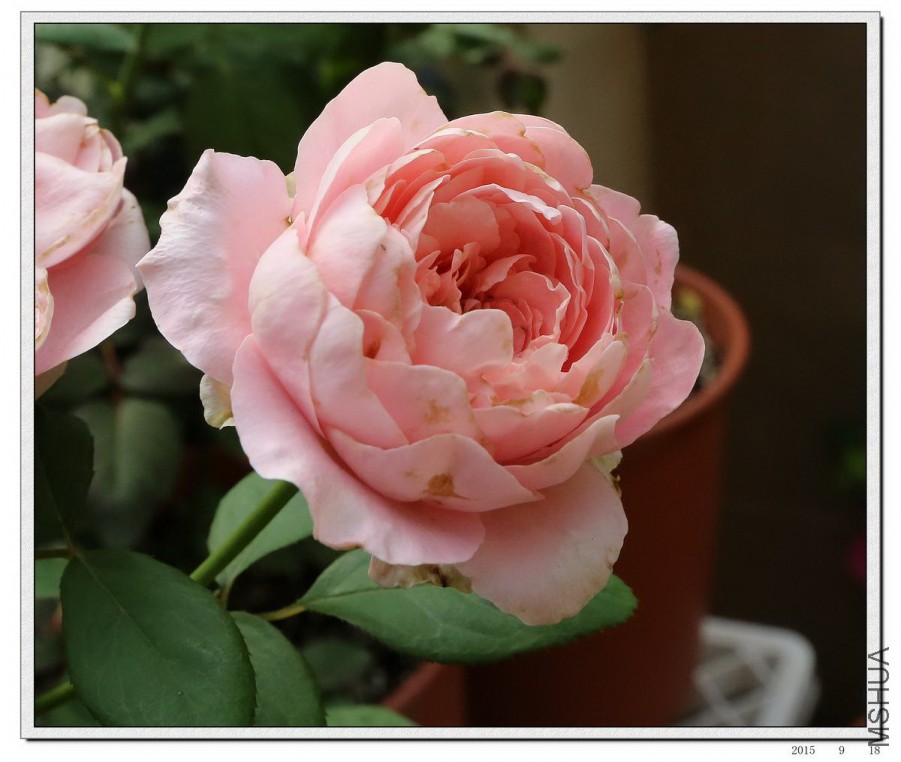 2015091802.jpg