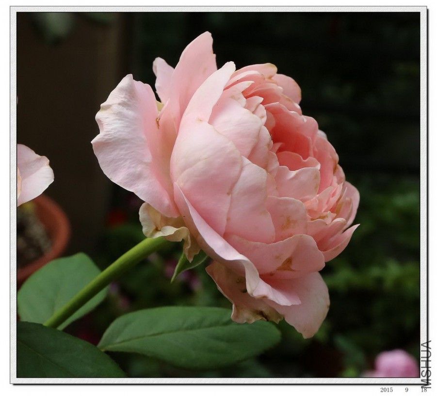 2015091803.jpg