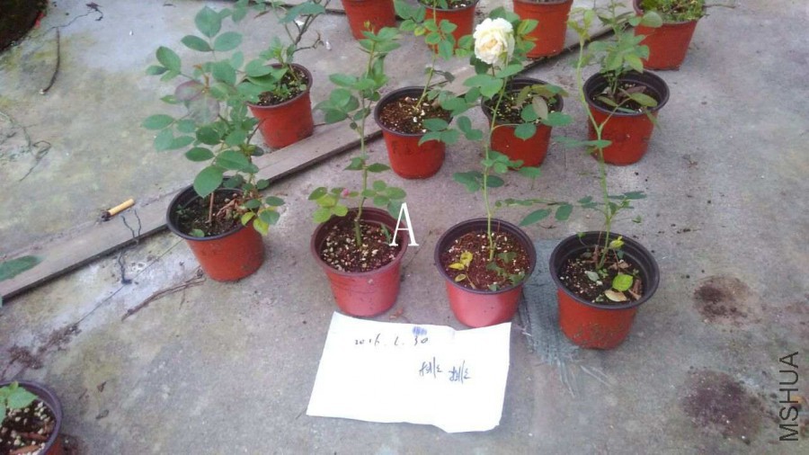 QQͼƬ20160630190536.jpg
