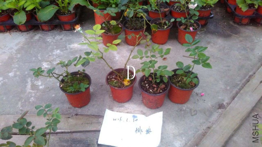QQͼƬ20160630190547.jpg