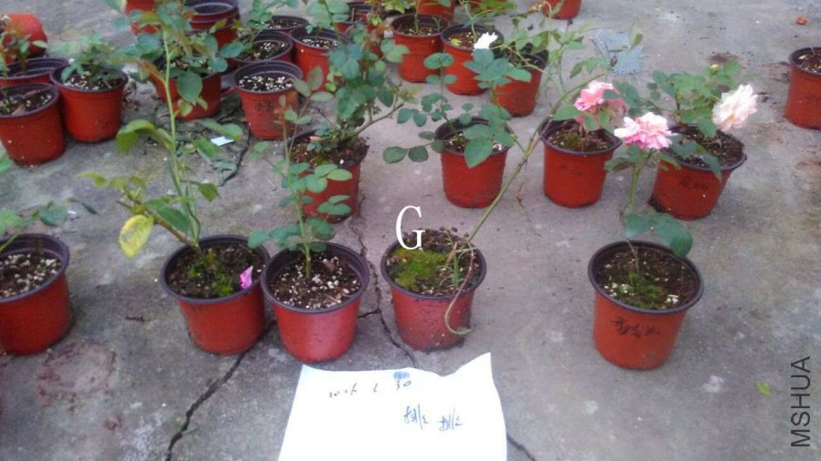 QQͼƬ20160630190556.jpg