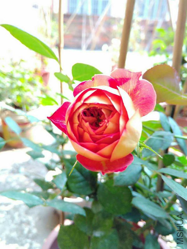 MTXX_20160505091453.jpg