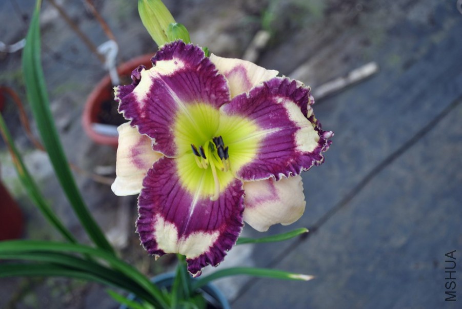 �λ���˿ (3).jpg