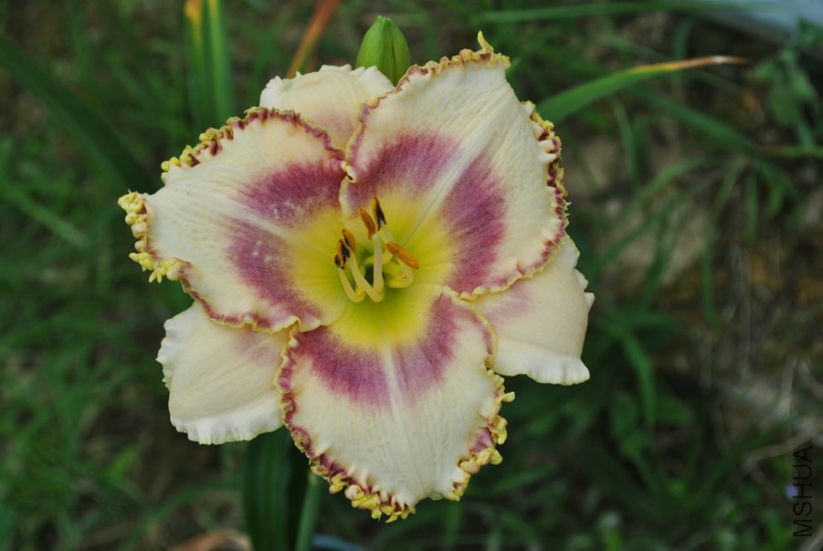 F1��1072������˿ (4).jpg