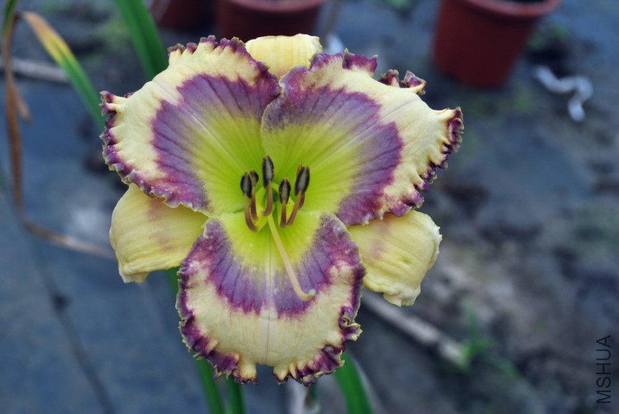 �ȴ����� (2).jpg