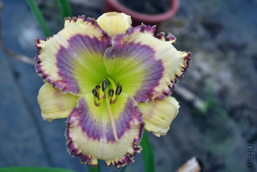 �ȴ����� (4).jpg