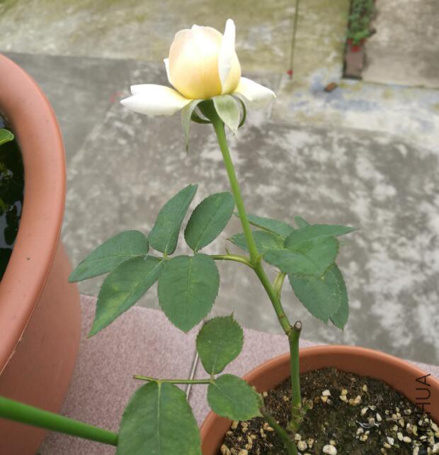 QQ��ͼ20160702134654.jpg