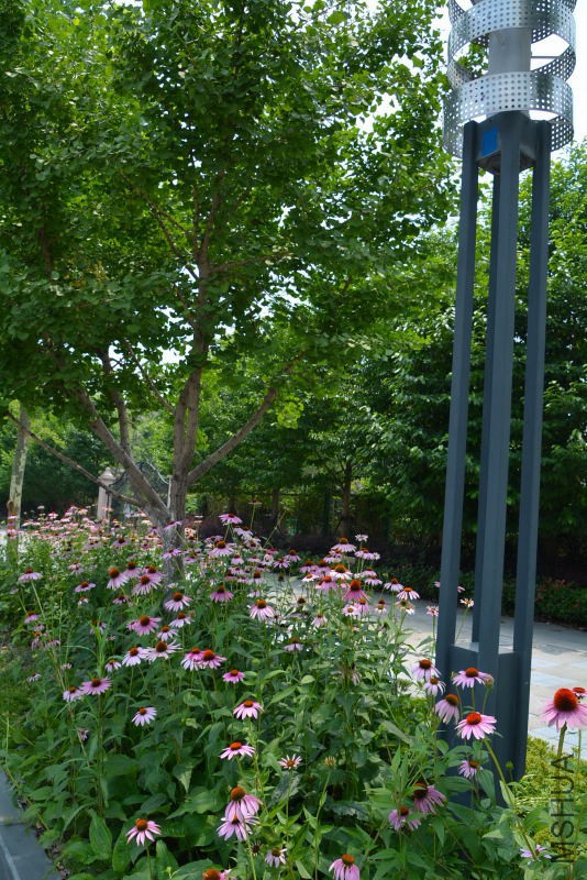 DSC_10150041.JPG