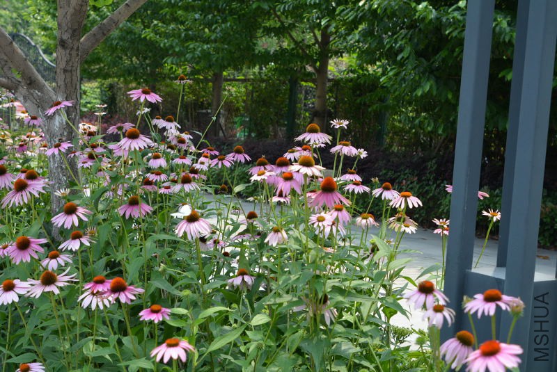 DSC_10160042.JPG