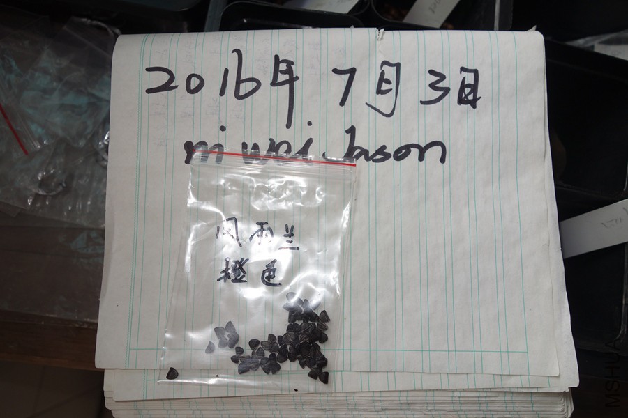DSC0451904.jpg