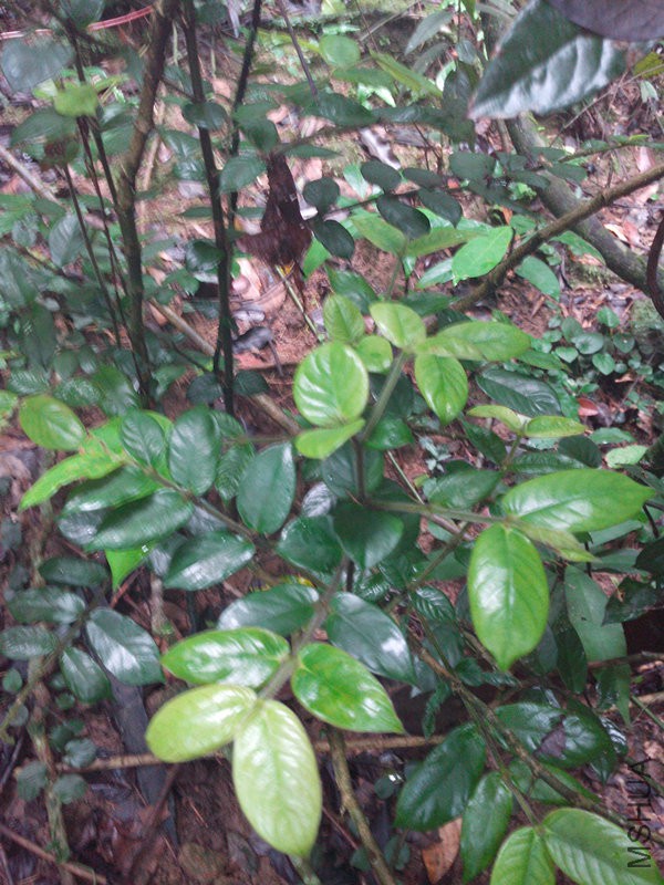 IMG_20160627_095257.jpg