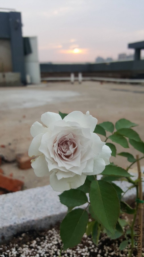 20160624_185406.jpg