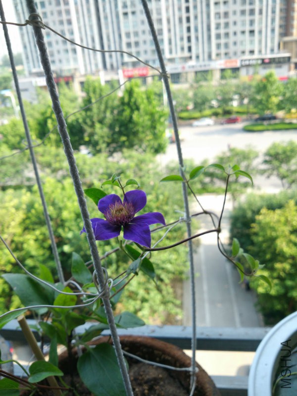 IMG_20160701_162555.jpg