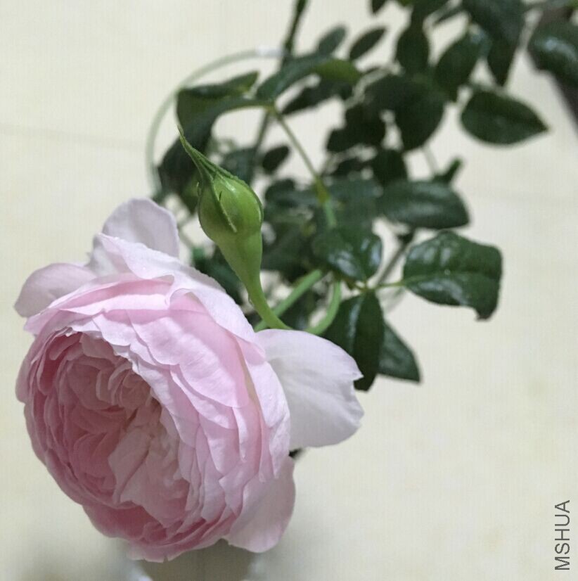 �ҵ���