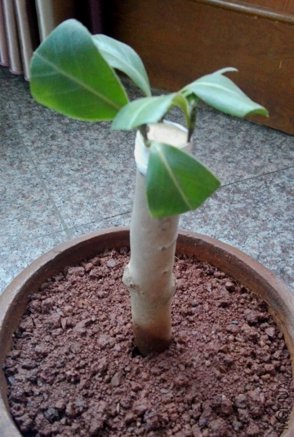 16��޽� (12).jpg